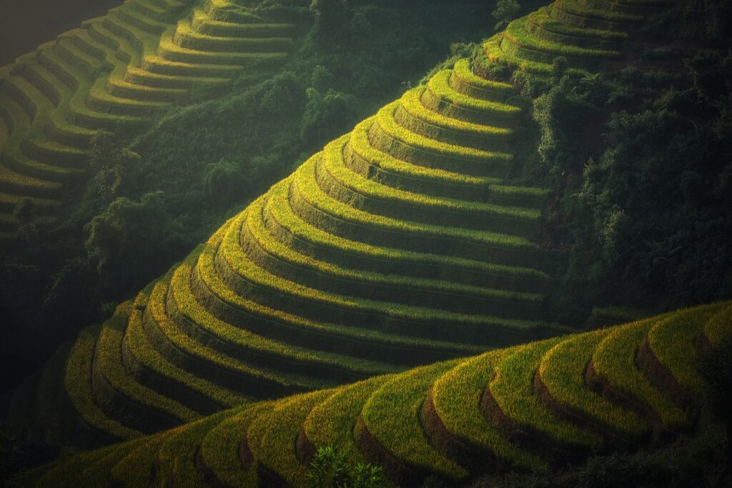 rice terraces, mountains, plantation-1822443.jpg