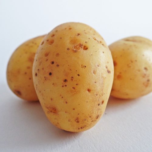 potatoes, vegetables, field-448613.jpg